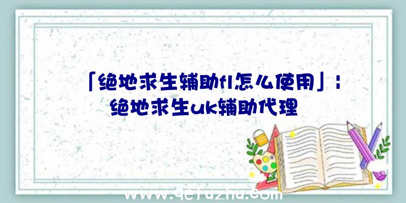 「绝地求生辅助fl怎么使用」|绝地求生uk辅助代理